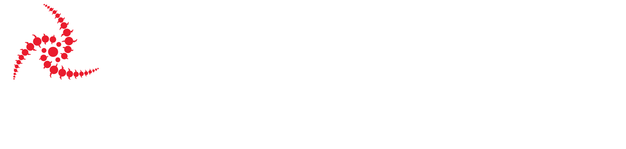 Novaconnect logo 2